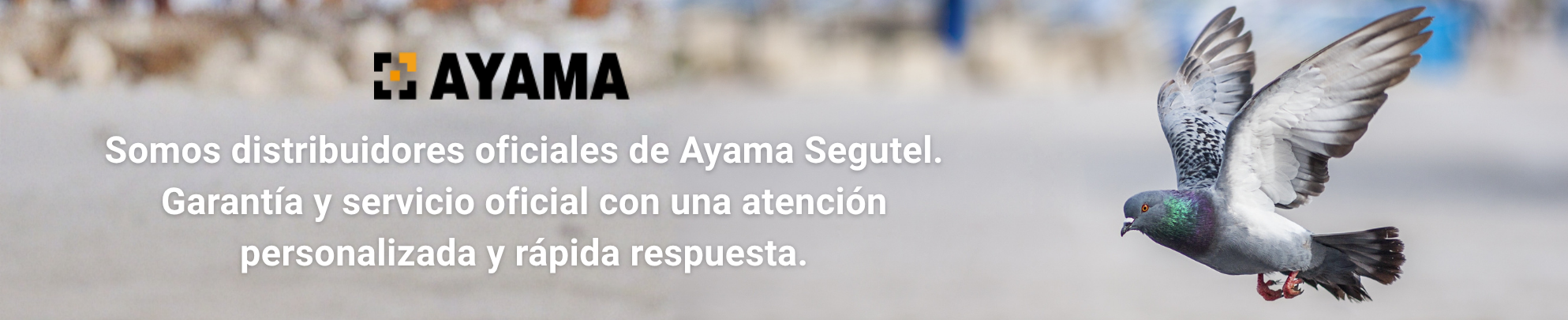 Somos Distribuidores Ayama Segutel_Natural Colom
